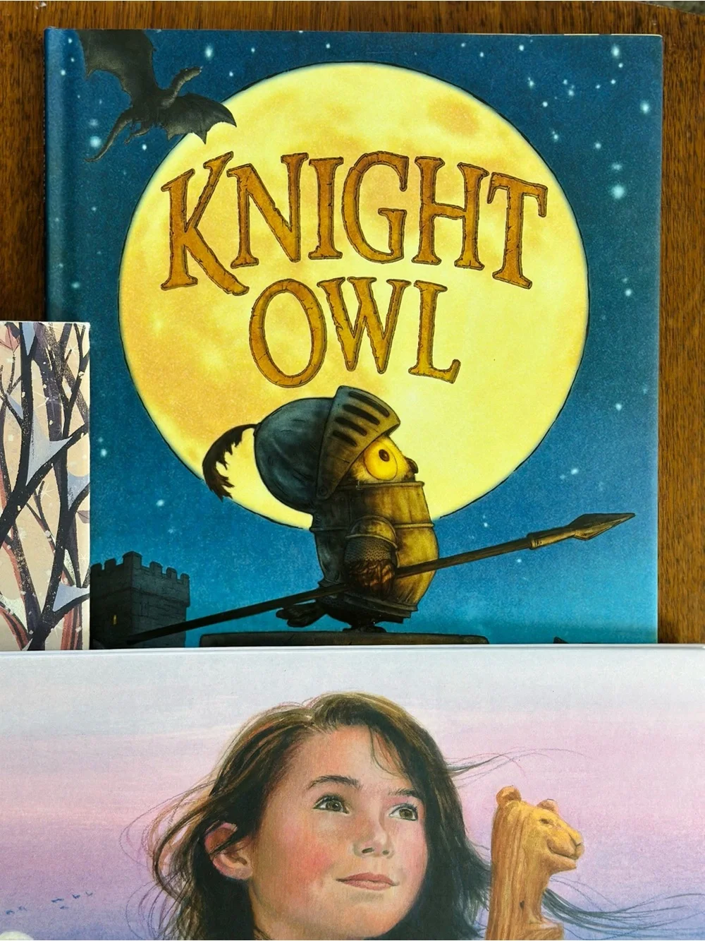 Children’s book lot